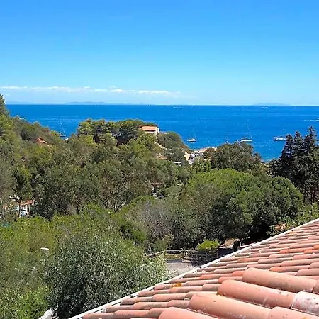 Reale 4*